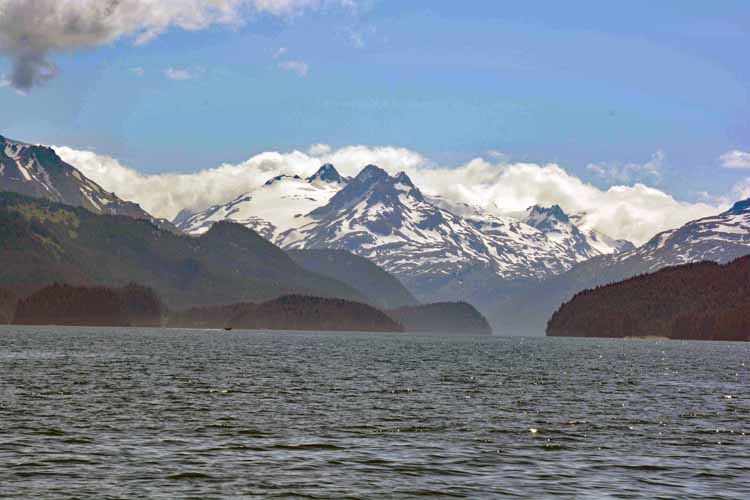 bay scene